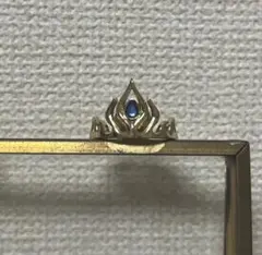 ファンタジースプリングス　アナと雪の女王　アクセサリー　シークレット