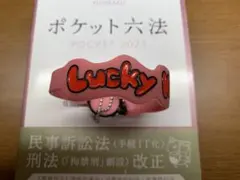 Lucky Kilimanjaro ラバーバンド