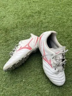 ミズノ　モナルシーダ　24.0センチ　トレシュー