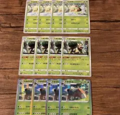 ポケモンカード ナエトル ハヤシガメ ドダイトス 進化ラインセット 12枚