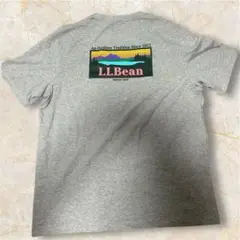 最終値下げL.L.Bean グレー Tシャツ XL 美品　キャンパーアウトドア