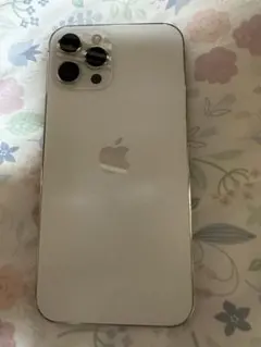 iPhone12ProMax 256GB