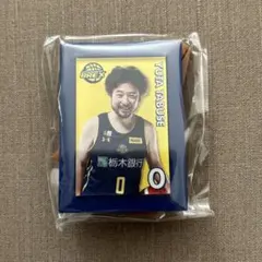 宇都宮ブレックス 田臥選手 ミニチュアアートイーゼル