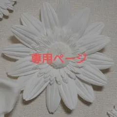 ayurin様専用ページ