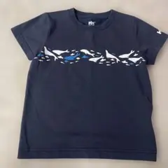 ヘリーハンセンネイビー Tシャツ クジラプリント