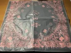 exo カイJapan special Live 2023 バック