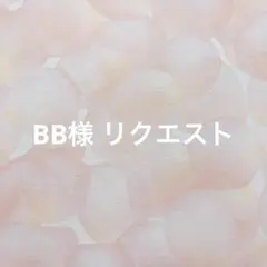 BB様 リクエスト 4点 まとめ商品
