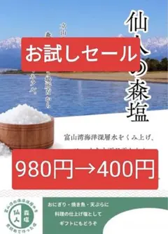仙人の森塩　100g 天然塩　平釜　富山湾海洋深層水のサムネイル