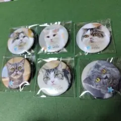 2026年最新】猫カフェ moffの人気アイテム - メルカリ