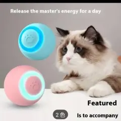 yu様 リクエスト 2点 まとめ商品