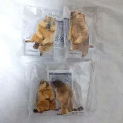 Dr.マーモット アクリルマスコット