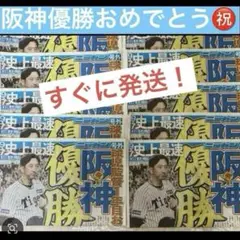 阪神タイガース優勝号外ニッカン新聞10枚