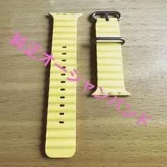 Item thumbnail for item 8fec47e6-fe43-4dd2-8afe-aa4b7722c485