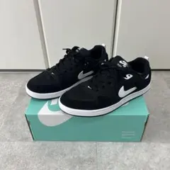 【試着のみ！美品】NIKE SB ALLEYOOP アリウープ26.5cm