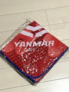 セレッソ大阪ヤンマーレディースフリースポンチョ