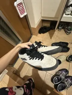 ハーフキャブ　vans