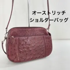 オーストリッチ　ショルダーバッグ　ハンドバッグ　2way レディース