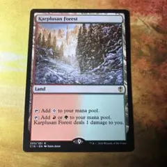 MTG 英語版 C16 カープルーザンの森 / Karplusan Forest