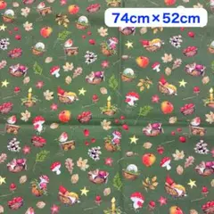 acufactumプリント生地 74cm x 52cm【果物ときのこ】綿100%