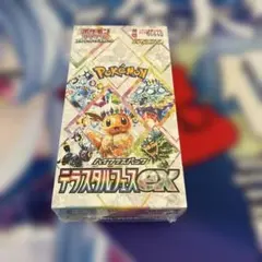 2025年最新】テラスタルフェスBOXの人気アイテム - メルカリ