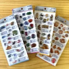 大人の図鑑3Dシール　4枚セット