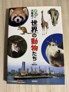 あっちゃん様 リクエスト 2点 まとめ商品