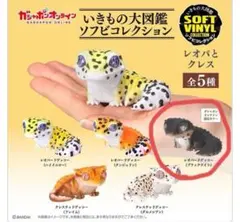 イキモノ大図鑑ブラックナイト