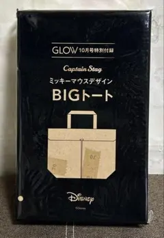 GLOW 10月号　付録のみ