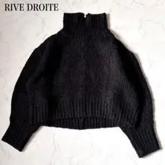 【RIVE DROITE】アルパカモヘア　ドルマンスリーブ　ハイネックセーターF
