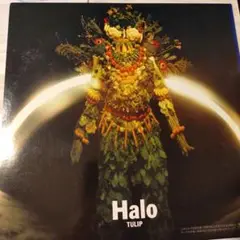 ２枚目同梱無料✦Tulip【Halo】１４作目アルバム、LPレコード