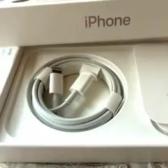 Apple Lightning USBケーブル 純正品