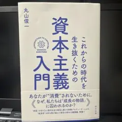 資本主義入門 丸山俊一
