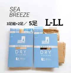 シーブリーズ　ストッキング　L-LL　DRY　パンスト　快適さらっとストッキング