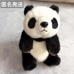 《美品》パンダ ぬいぐるみのサムネイル