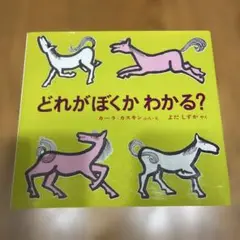 どれがぼくかわかる?
