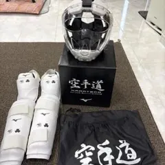 定価】ミズノプロ アームガード ブランドアンバサダーズコレクション