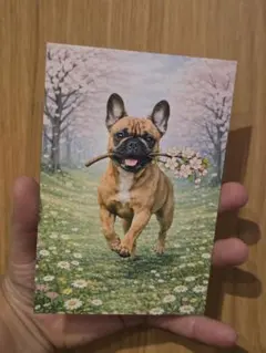 Item thumbnail for item 15c05987-1160-478f-91bd-ed070d9291ba