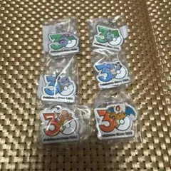 ポケモン 30周年 メタルチャームマスコット ガチャ