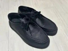 Item thumbnail for item 826be448-0769-4ba1-a284-3389f768d260