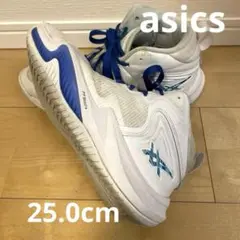 asics アシックス バッシュNOVA SURGE 3 25cm