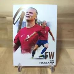 ハーランド