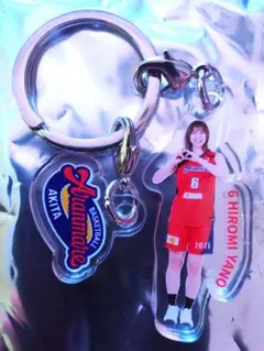 Wリーグ アランマーレ 矢野祐未 選手 キーホルダー