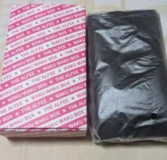 ALFEE 夏イベ ワクワクBOX 手提げバッグのサムネイル
