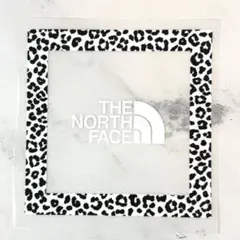 THE NORTH FACE☆アイロンシート