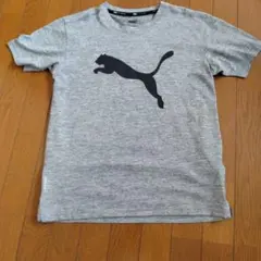 PUMA トレーニング Tシャツ Sサイズ グレー