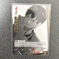 ハイキュー バボカ 影山飛雄 SP
