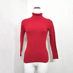 イベール　リブタートルニット ストレッチ細身 美シルエット レーヨン混（F）