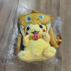 ポンチョを着たピカチュウ ぬいぐるみ　全てタグ付き 中古 ポケモン ぬいぐるみ メガレックウザのポンチョを着た