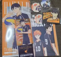 烏野高校 影山飛雄 日向翔陽 セット