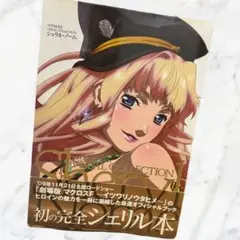 【処分予定】マクロスFSheryl Nome Visual Collection